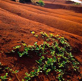《极限竞速8》总监：在光追上 我们不会欺骗玩家